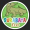 Surabaya Zoo is where hundreds species of exotic, funny, cool, cute and beautiful animal plays