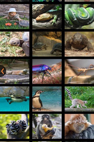 London Zoo Visitor Guide screenshot 4