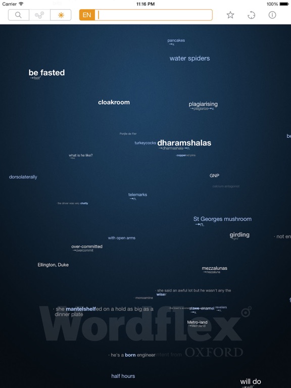 Wordflex Touch Dictionary screenshot