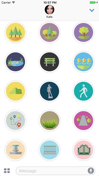 Park Flat Stickers