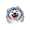 Huskar Husky - lovely sticker pack for iMessage