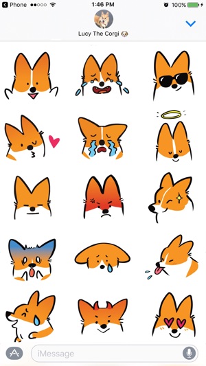 Corgimoji(圖3)-速報App