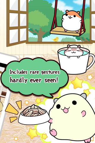 Hamster Collection◆FreeBasic, pet breeding game! screenshot 2