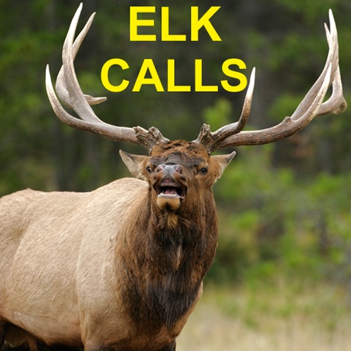 Elk Calls & Elk Bugle for Elk Hunting Icon