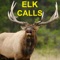 Elk Calls & Elk Bugle for Elk Hunting