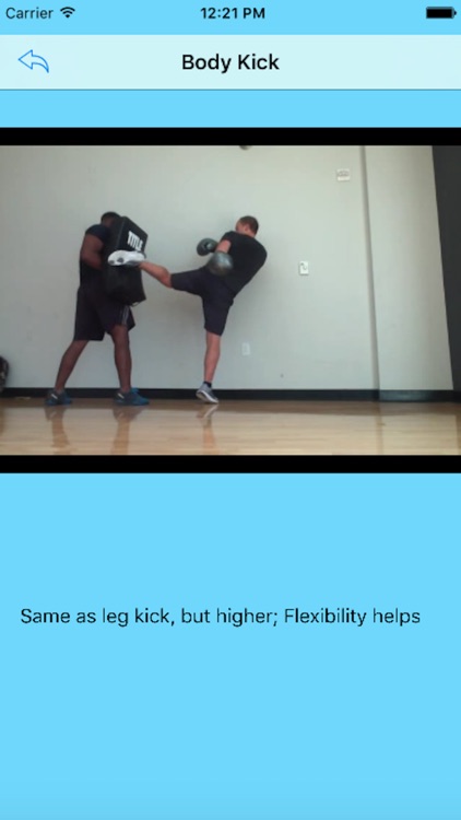 Muay Thai - Strikes, Counters, and Combos