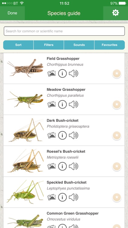 iRecord Grasshoppers