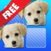 Memory Game Pets for kiddos, grandkids and toddler