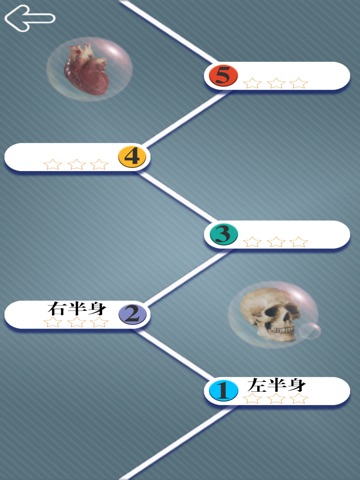 交互式人体系统解剖 screenshot 3