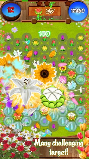 Flower Forest Blast(圖1)-速報App