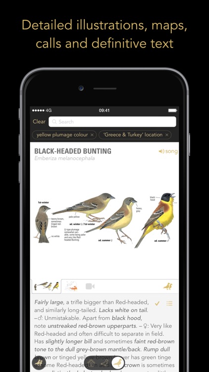 Collins Bird Guide screenshot-3