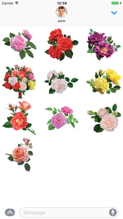 Rose Flowers - Stickers for iMessage