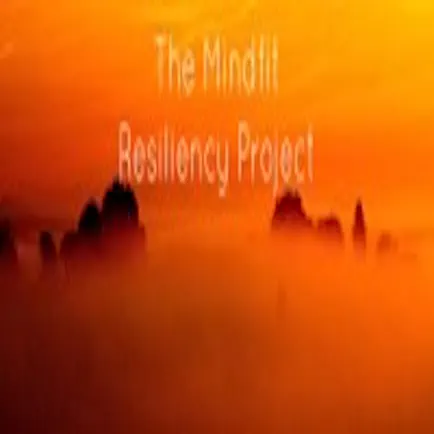 Mindfit Resiliency Project Читы