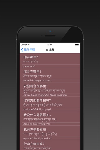 Tibet Travel Phrase Chinese screenshot 3