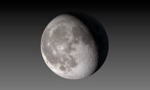 Moon Phase + Professional