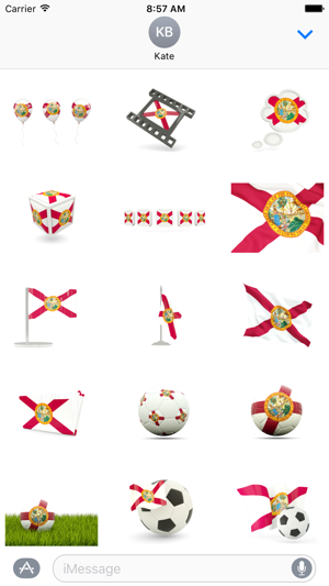 Florida Flag Stickers(圖1)-速報App