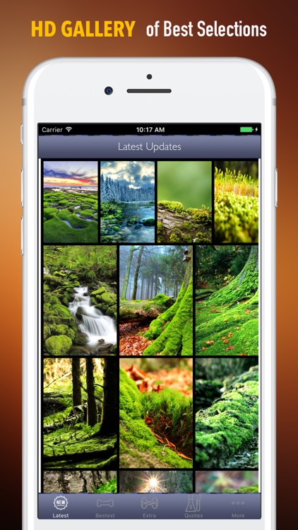 Moss Wallpapers HD- Quotes and Art Pictures