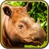 2016 Rhinoceros hunting Deadly Challenge