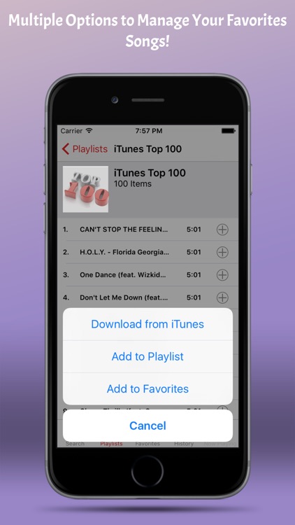 iPlay Free -Music Player & Playlist Manager screenshot-4