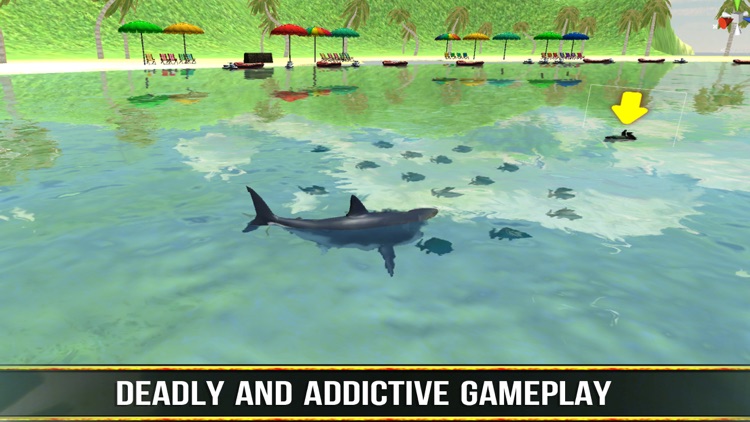 Great white shark simulator  Beach attack 3d screenshot-3