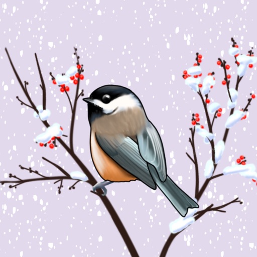 Garden Birds, Scenery, Greetings Text for Messages icon