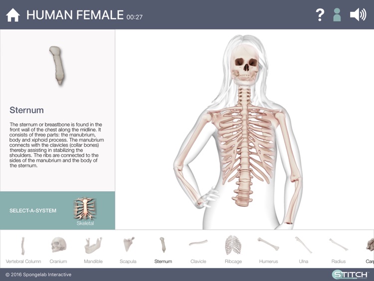 Build a Body: Biology Systems