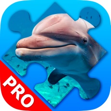 Activities of Dolphin Jigsaw Puzzles beautiful Scenery. Premium