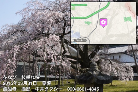 HanaNavi Select(Kyoto Flower Information) screenshot 3
