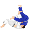 Step By Step Guide To Judo