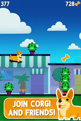 Game screenshot Corgi Pro Skater apk