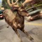 Deer Simulator 2016 | My Deer Animal Game