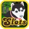 Cats And Dogs Slot Machine Casino Spin Journey