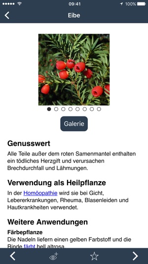 Wildpflanzen zum Genießen(圖3)-速報App