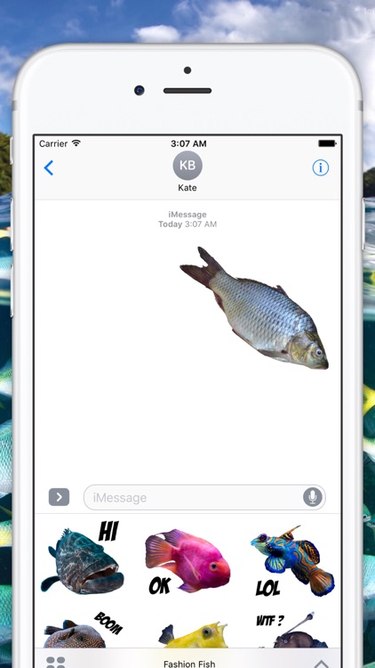 Fashion Fish