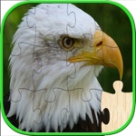 Chim Jigsaw Puzzles Đối với trẻ em
