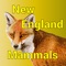 This app shows more than 100 mammal species found in the region comprising the U