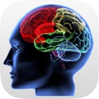 Top 27 Entertainment Apps Like IQ Test (intelligence) - Best Alternatives