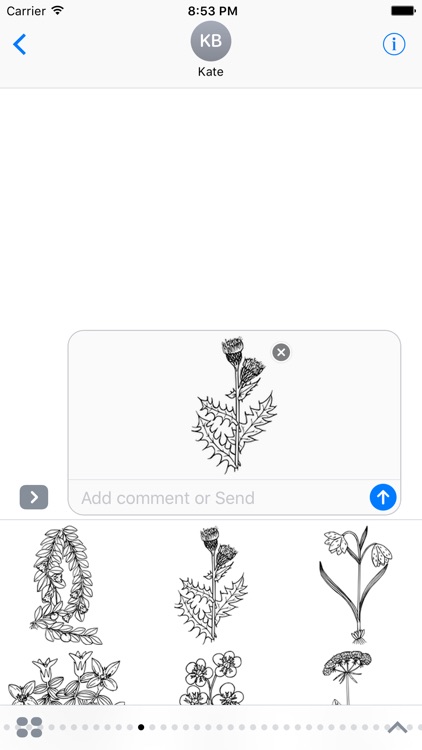 Flower Stickers (Black and White)