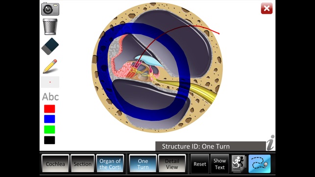 Inner Ear ID(圖4)-速報App