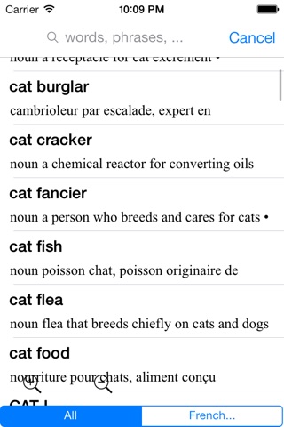 French Dictionary - Dict Box screenshot 4