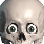 Skelly Stickers Skulls and Skeletons
