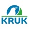 Kruk Planner is the app that let you track the expenses and revenues on different period times