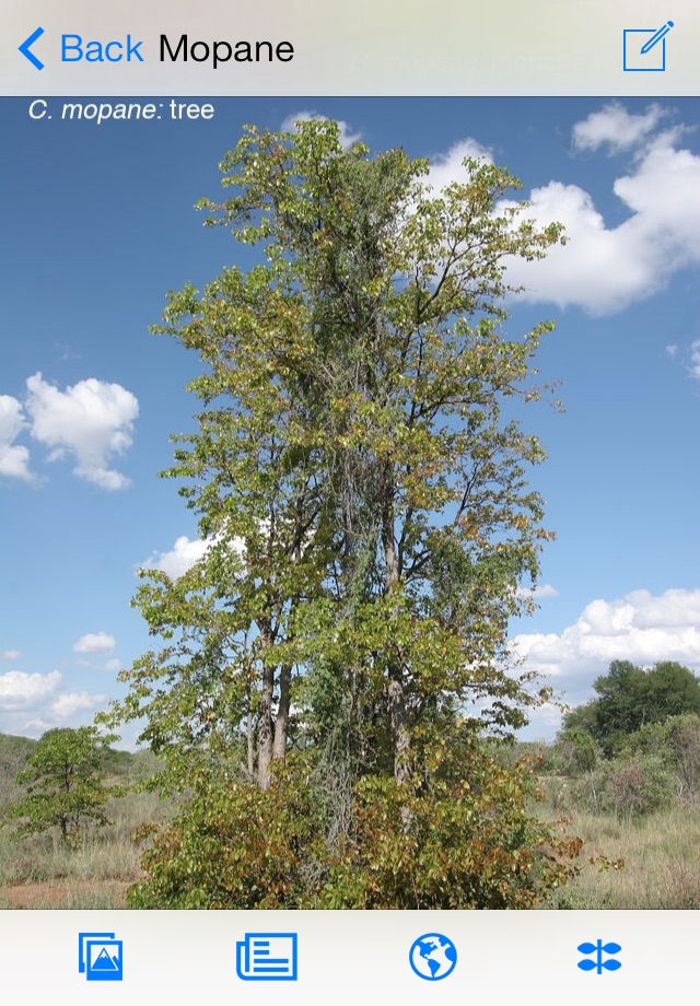 eTrees of Southern Africa screenshot 2