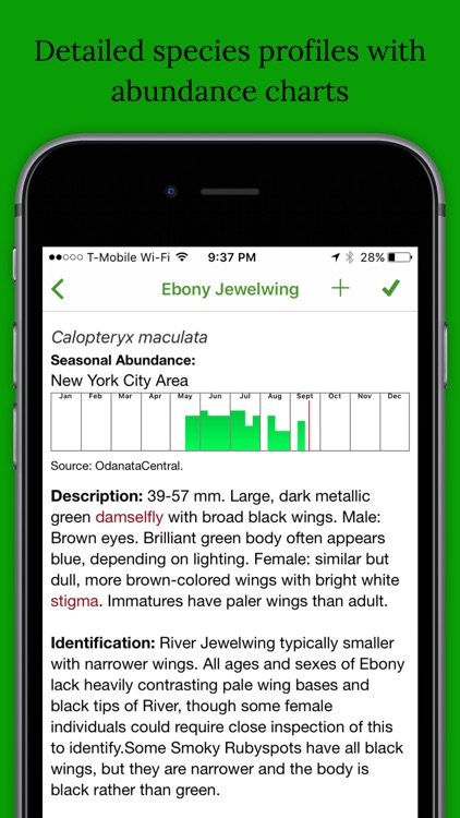 Dragonfly and Damselfly Field Guide and ID App