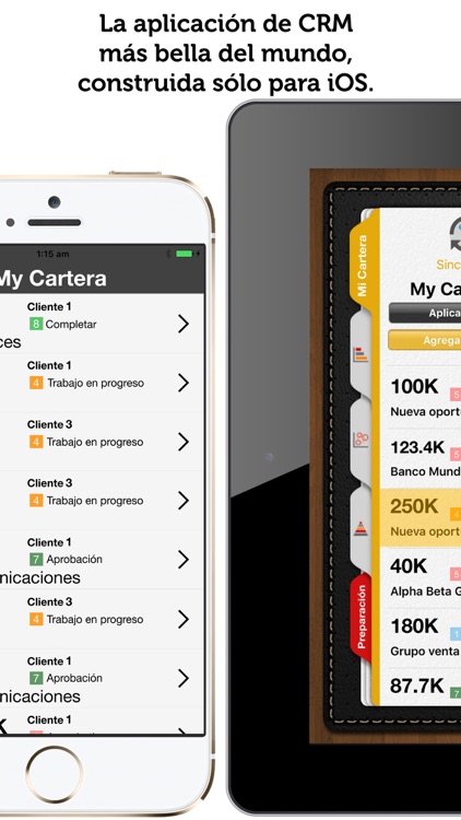 BusiBI CRM 2016 Español