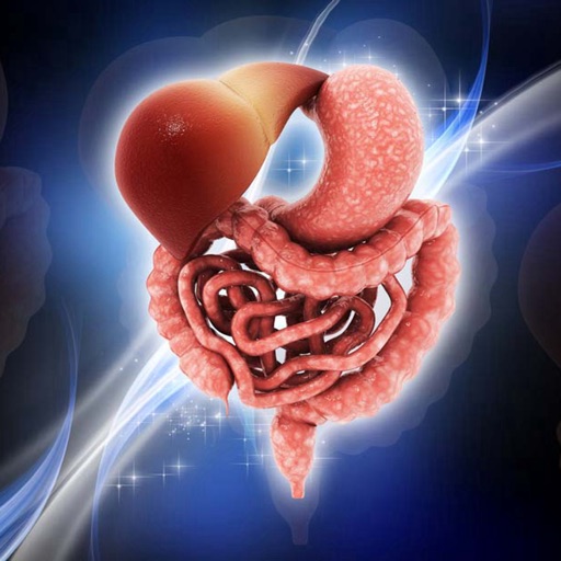Leaky Gut Guide-Symptoms and Digestive System Icon