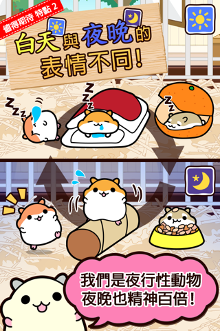 Hamster Collection◆FreeBasic, pet breeding game! screenshot 4