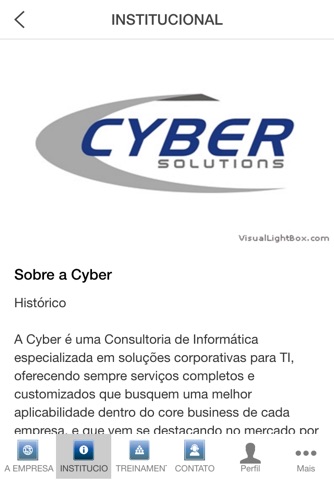 CyberSolutions screenshot 3