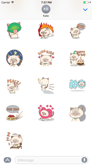 Funny Kitten Sticker(圖3)-速報App