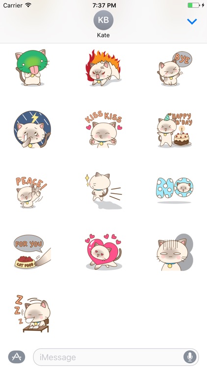 Funny Kitten Sticker